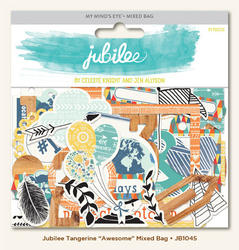 Jubilee Tangerine Mixed Bag Cardstock Die-Cuts - 1