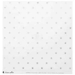 Clear With Silver Paper Collection 12"X12" - 6